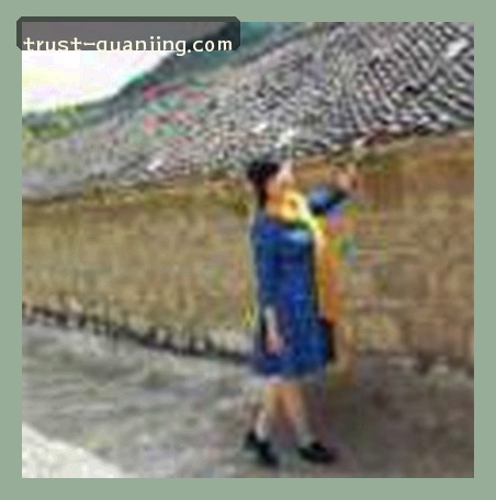 陈静